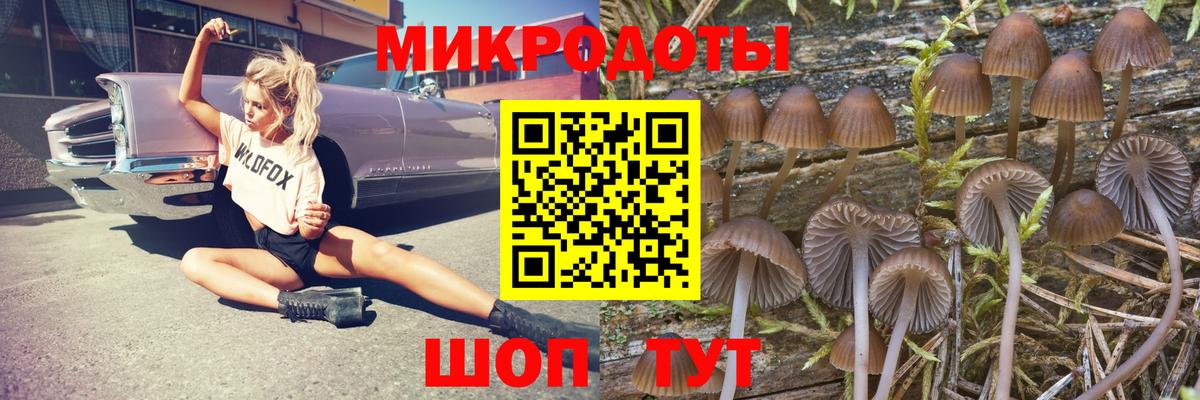 Псилоцибиновые грибы MAGIC MUSHROOMS Волжский